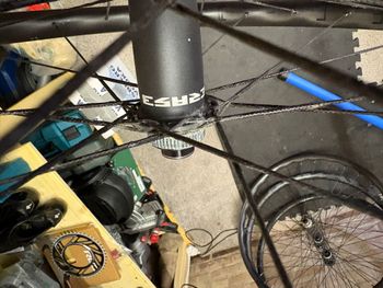 Brugt Berd Tailwind WLS Spokes Wheelset 2025 bike — billede 8 af 8