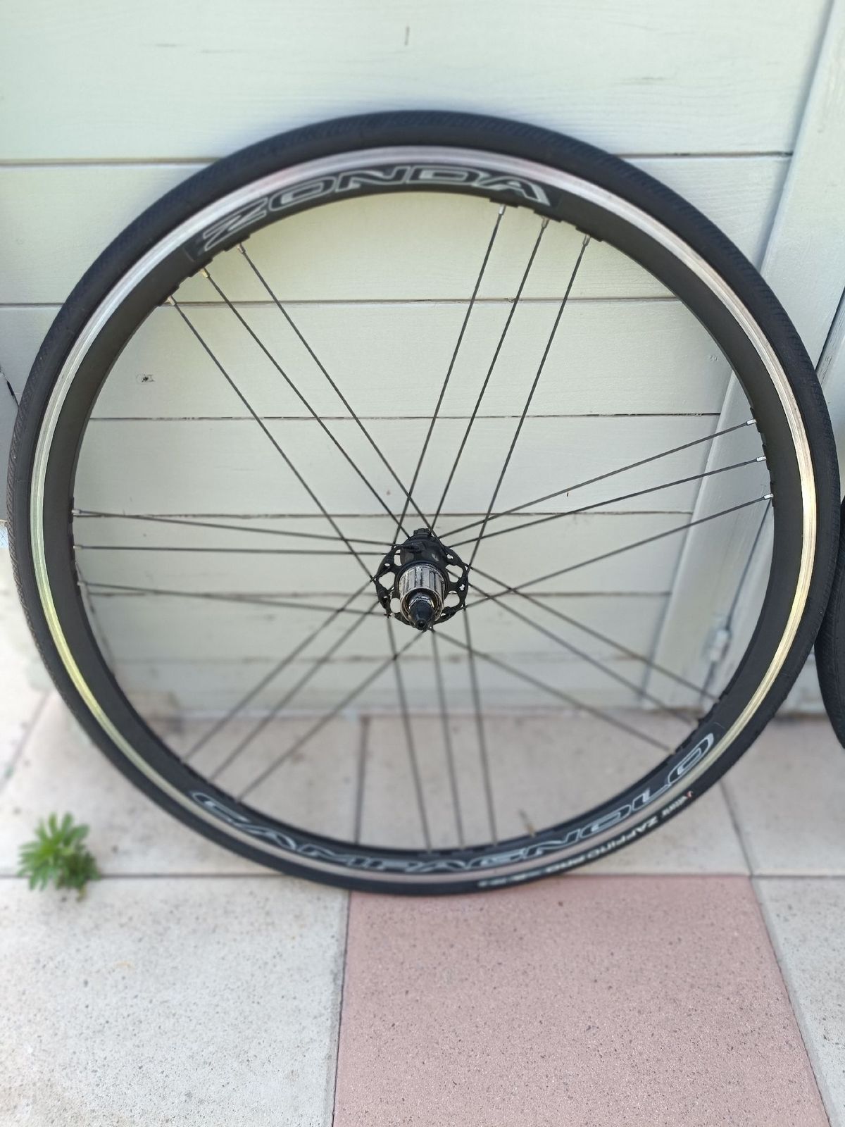 Campagnolo Zonda | buycycle