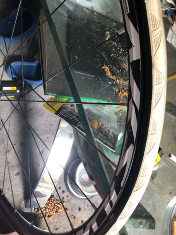 Mavic Aksium 2000 bike d'occasion — image 3 sur 4