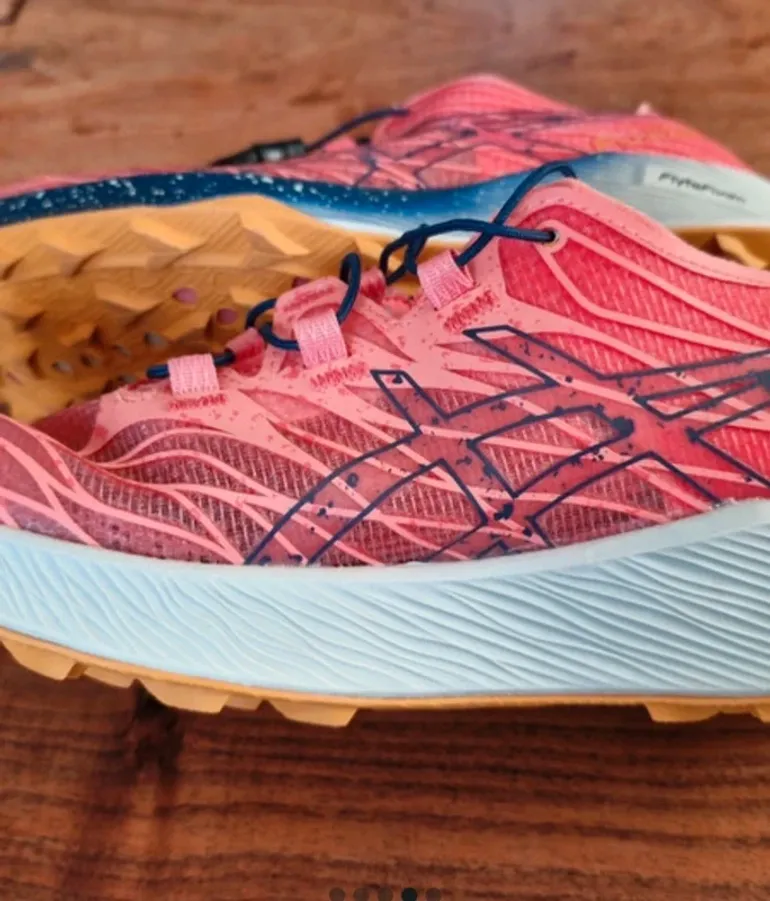Asics Fujispeed 4 bike d'occasion — image 2 sur 5