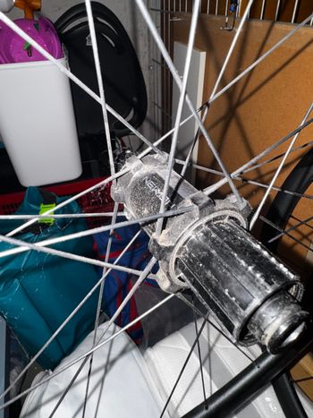 Newmen Evolution bike usato — immagine 6 di 13