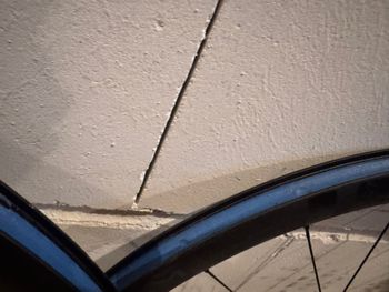 Newmen Evolution bike usato — immagine 10 di 13
