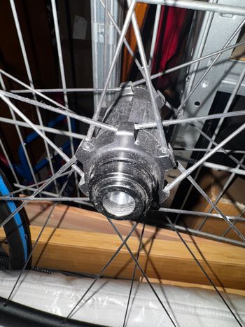 Newmen Evolution bike usato — immagine 5 di 13