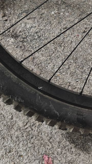 Brugt Dt Swiss X1900 Wheelset 2026 bike — billede 3 af 5
