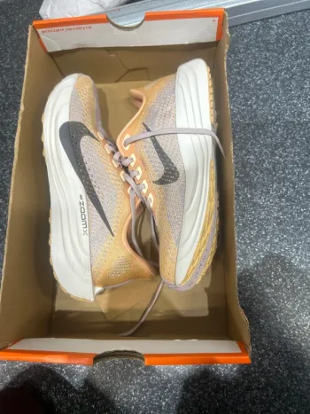 Used Pegasus Nike Plus bike