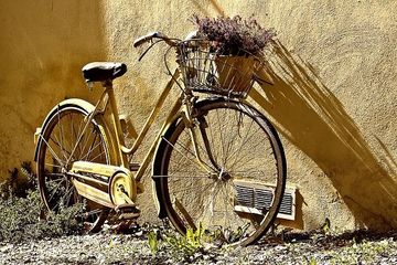 Used Abu Garcia aatomic 2023 bike — image 1 of 5