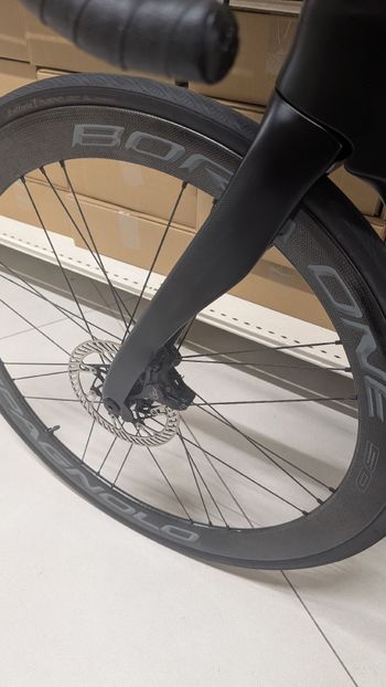Campagnolo Bora One 50 2023 bike de segunda mano