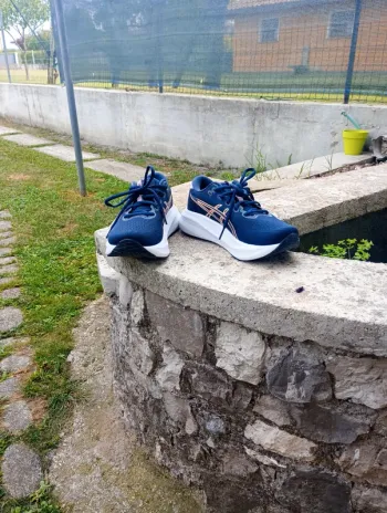 Gebrauchtes Asics Scarpe da running donna bike