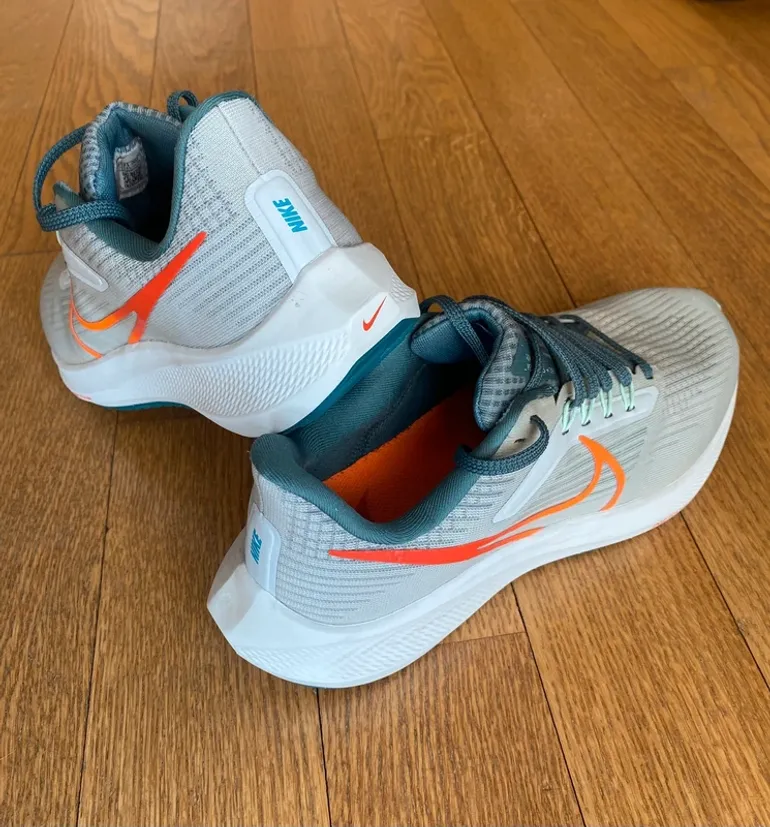 Pegasus Air Zoom 39 bike d'occasion — image 2 sur 3