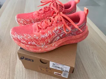 Gebrauchtes Asics Noosa Tri 16 bike