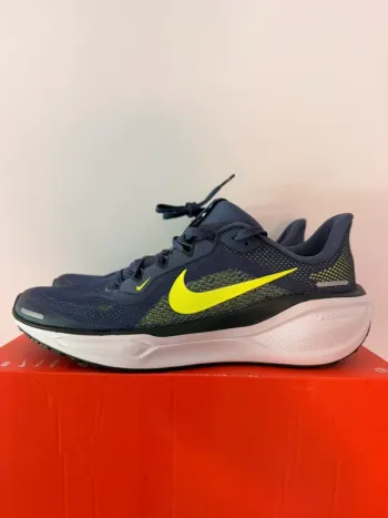 Used Pegasus Air Zoom 41 bike — image 2 of 4