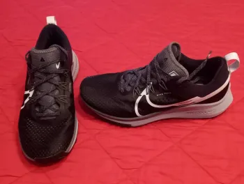 Pegasus React 43 bike usato