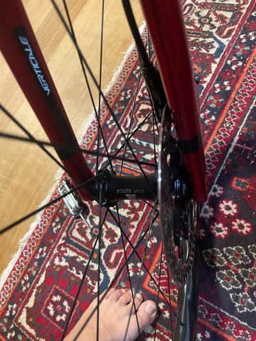 Tweedehands Light Bicycle Turbo 40 2026 bike — afbeelding 5 van 8