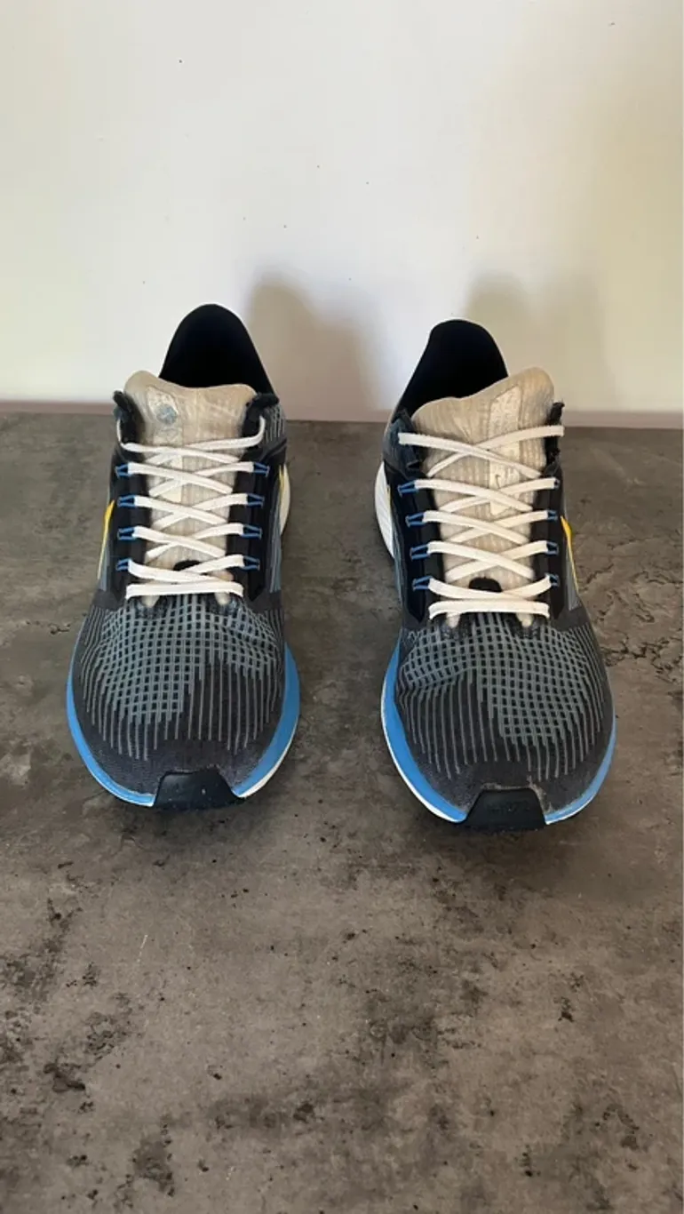 Used Pegasus 39 bike — image 6 of 7