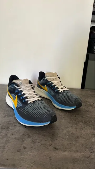 Pegasus 39 Running Shoes usato