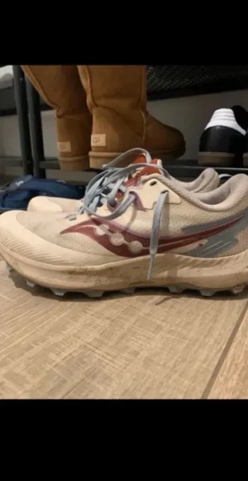 Used Saucony Peregrine 14 bike