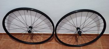 Tweedehands khasper wells 2023 Wheels