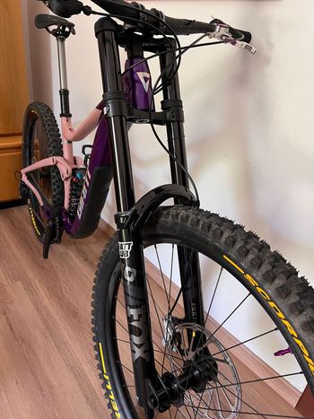 Fox 2024_23 PERFORMANCE SERIES 40 FLOAT 29 190MM GRIP 2024 Fork usato
