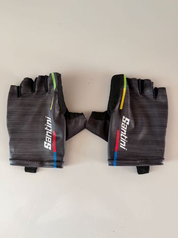 Used Santini Rainbow UCI Summer Gloves Cycling Clothing
