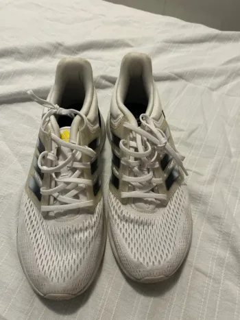 Brugt Adidas Scarpe da ginnastica Running Shoes