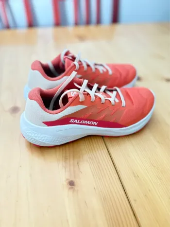 Brugt Salomon Alphaglide Running Shoes