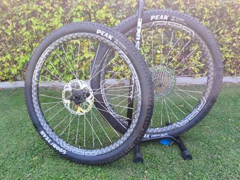 Used CEC Carbon 29er Wheels with Berd Spokes 2022 Wheels
