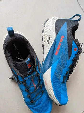 Used Salomon sense ride 5 Running Shoes