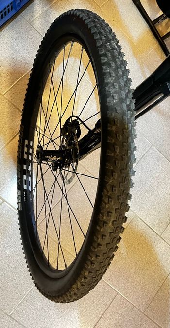Použité Schwalbe Racing Ray & Racing Ralph 2023 Tyres & Tubes