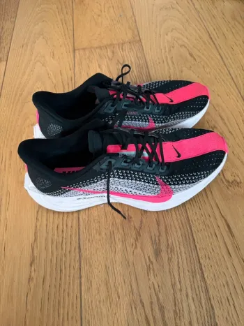 Used Pegasus Plus Running Shoes
