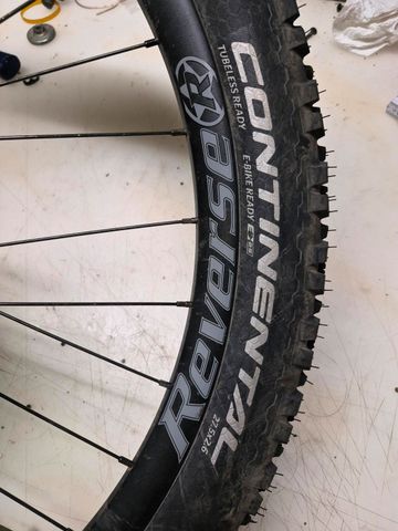 Used Continental Trail King bike — image 1 of 3