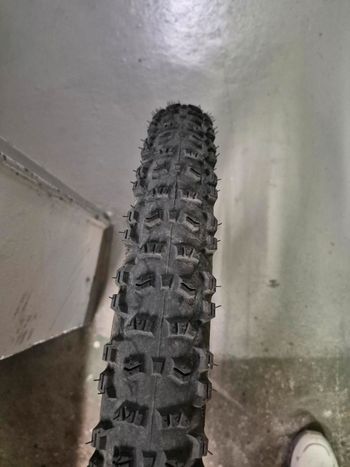 Continental Trail King bike usato — immagine 3 di 3