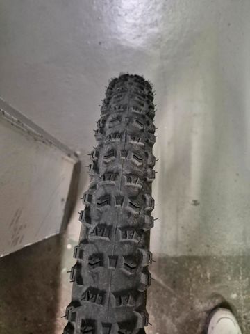 Used Continental Trail King bike — image 3 of 3