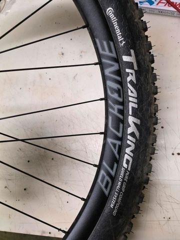 Used Continental Trail King bike — image 2 of 3
