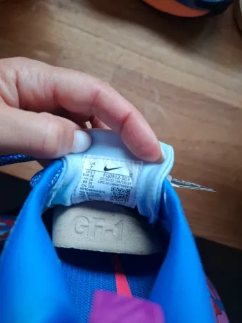 Used Pegasus Nike 5 GTX bike — image 11 of 11