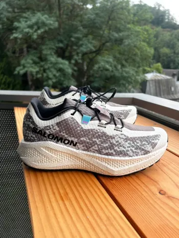 Used Salomon Aero Glide 4 Gravel Running Shoes