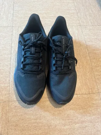 Used Pegasus Nike 41 GTX Running Shoes
