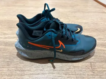 Used Pegasus Air Zoom 39 Shield Running Shoes