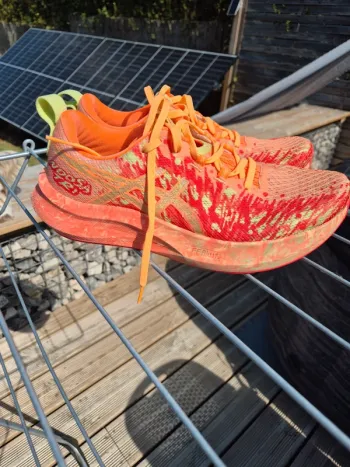 Asics Noosa Tri 16 Running Shoes d'occasion
