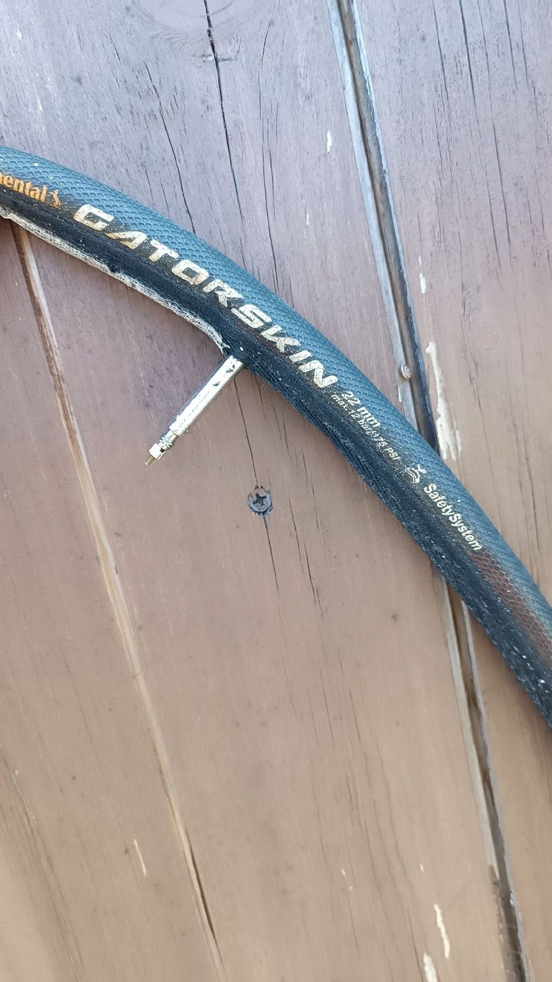 Brugt Continental Tubular Tire Tyres & Tubes