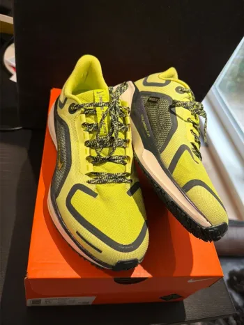 Used Pegasus Air Zoom 41 GTX Running Shoes