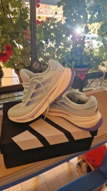 Used Supernova Rise Running Shoes