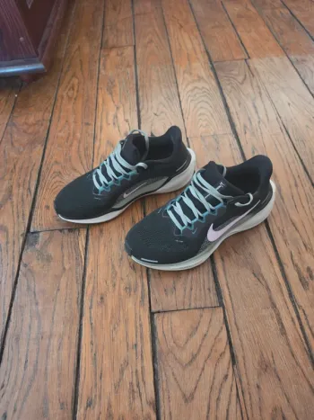 Used Pegasus 39 Running Shoes