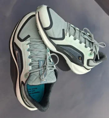 Tweedehands Pegasus 41 Gore-Tex Running Shoes