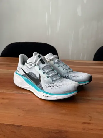Used Pegasus 41 Running Shoes