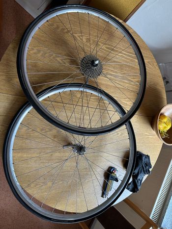 Used Campagnolo Lambda 6082 Alloy T6 Wheelset 1990 Wheels
