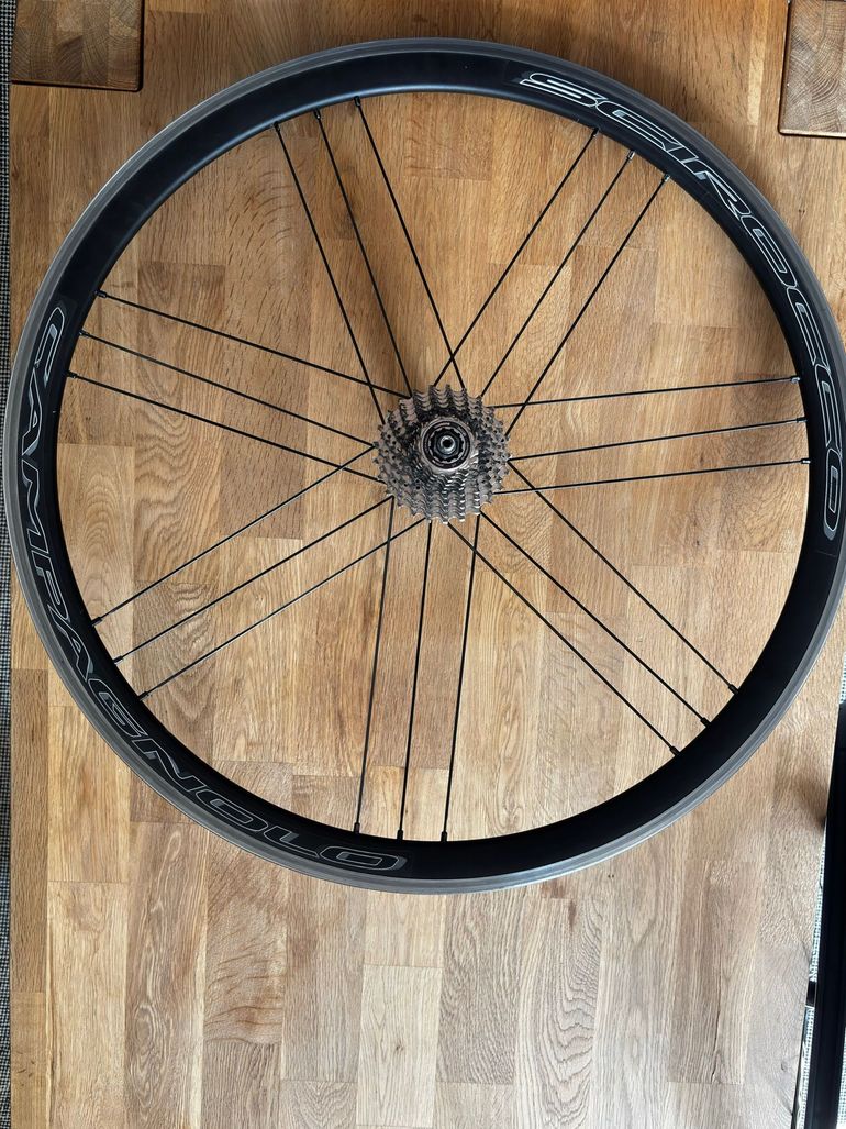 Campagnolo Scirocco bike d'occasion — image 2 sur 8