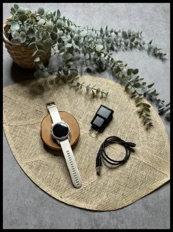 Used Garmin Fénix 5S Electronics
