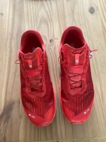 Used Salomon S/lab pulsar 4 Running Shoes