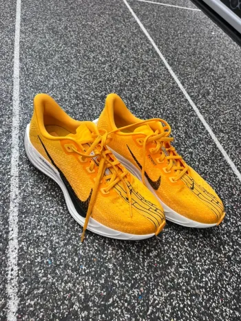 Used Pegasus Plus LV8 Running Shoes