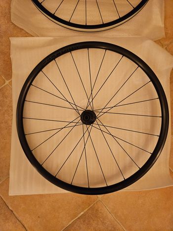 Brugt Bontrager Paradigm 23 TLR Disc 2026 Wheels